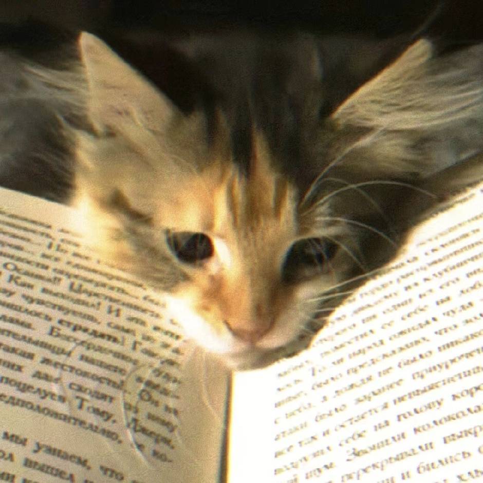 小佳的头像-XiFen